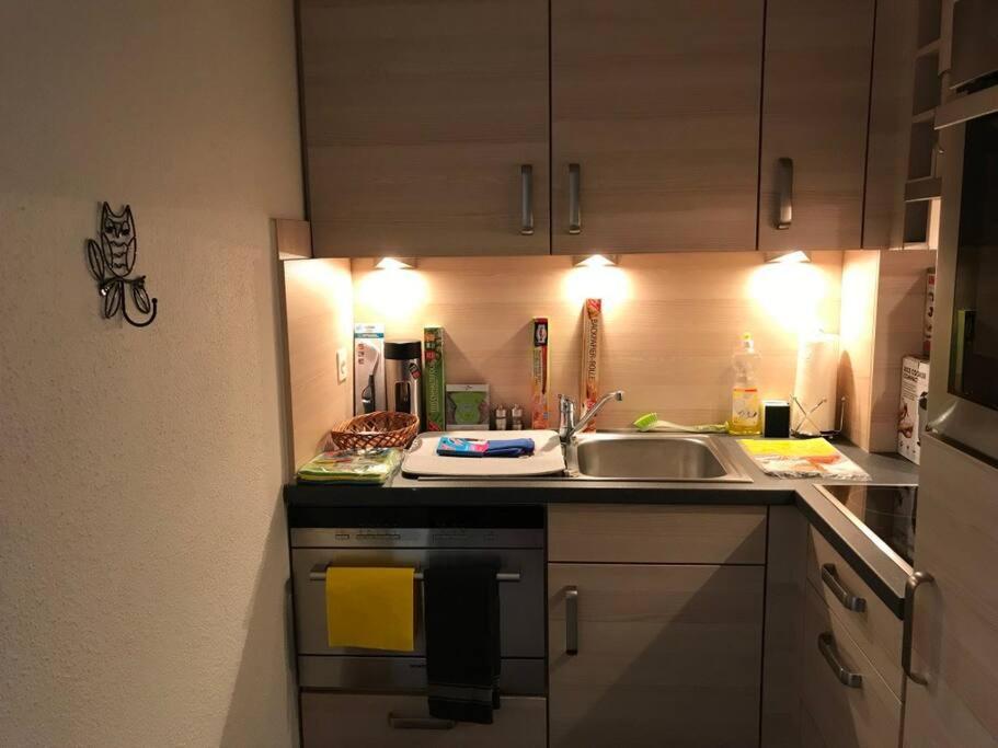Beautiful 2.5 Room Apartment in Lucerne  Exterior foto